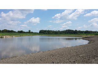 Property photo 11 - Real Estate Auction - 125.5 Acres in 6 Tracts - Tillable Farmland, Country Home, Building Sites, Wooded Land